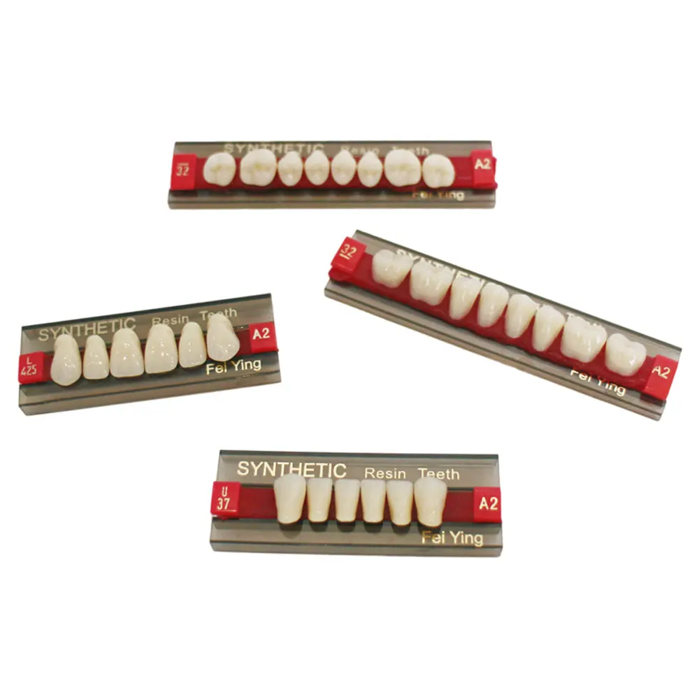 CE ISO Dental Supply Multi-Layer Acrylic Resin Teeth for Dentures