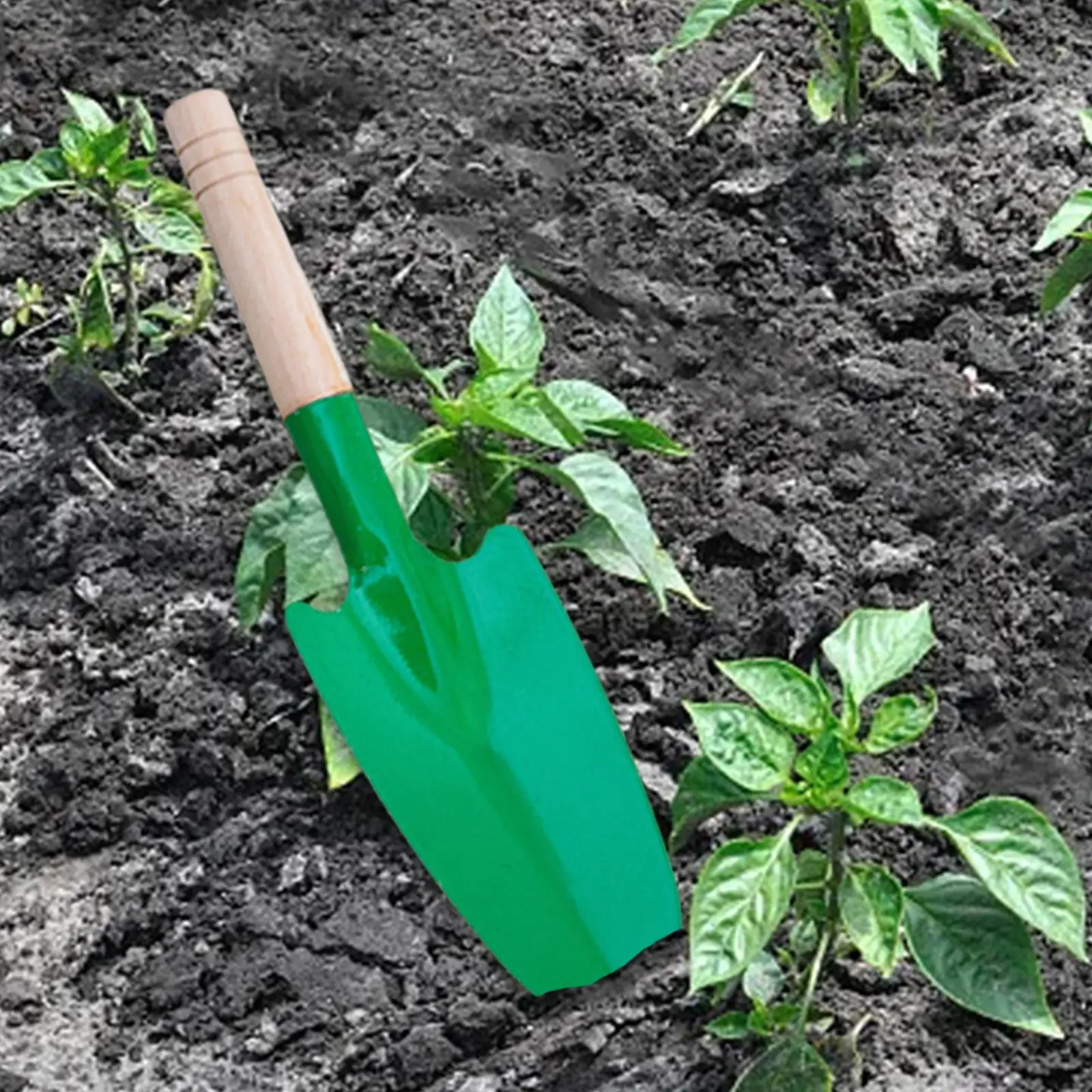 H34abd65dac0342fea8d58e1384f16faev