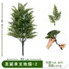 Plante de Noël individuelle pour sol - 2