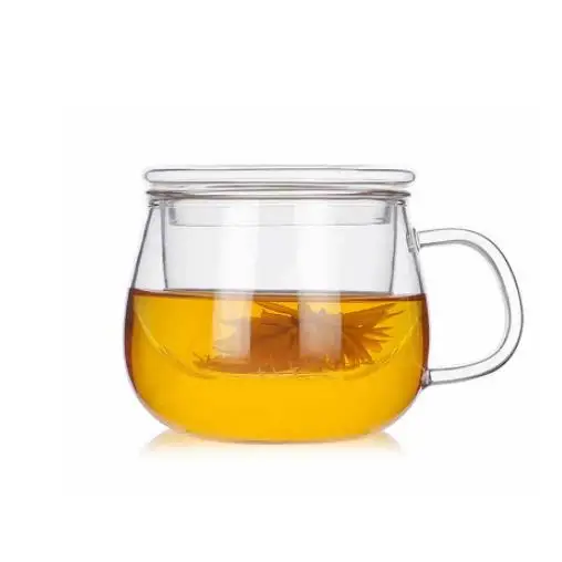 Glass Teacup Set High Borosilicate Glass Tea Cup With Infuser And Lid Buy Tea Cup,Glass Tea