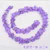 2-meter hydrangea strip, light purple