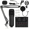 Black BM800 with sound card