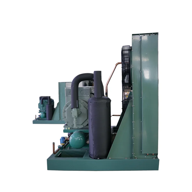 New Condition Bitzer Inverter Condensing Unit Semi Hermetic Refrigeration Compressors Factory Shop Cold Room Core Motor