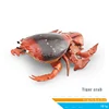 tiger crab