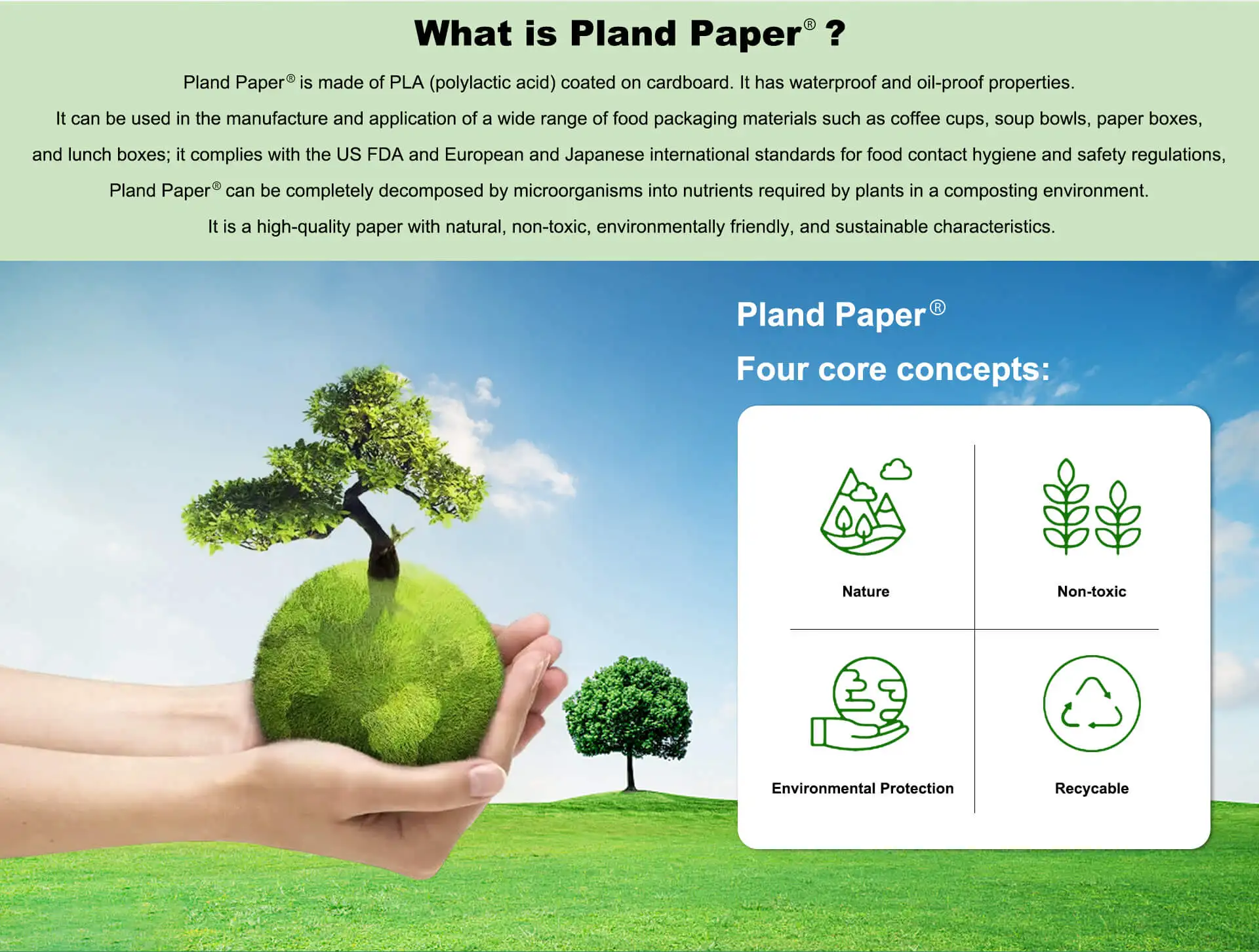 Biodegradable Takeaway Packaging Coffee Paper Cup Custom Disposable Compostable Single Double PLA Coating Sugarcane Paper Cups
