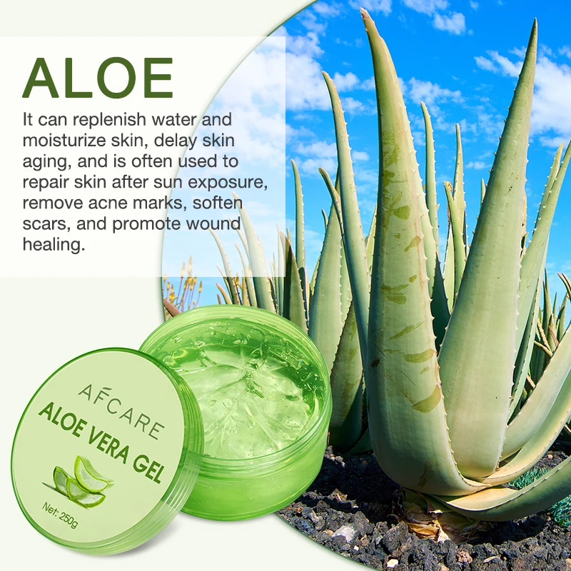 Alcohol Free Aloe Vera Gel Sulfate-free Repair & Moisturizing and Organic  Herbal Aloe Vera Gel Wholesale