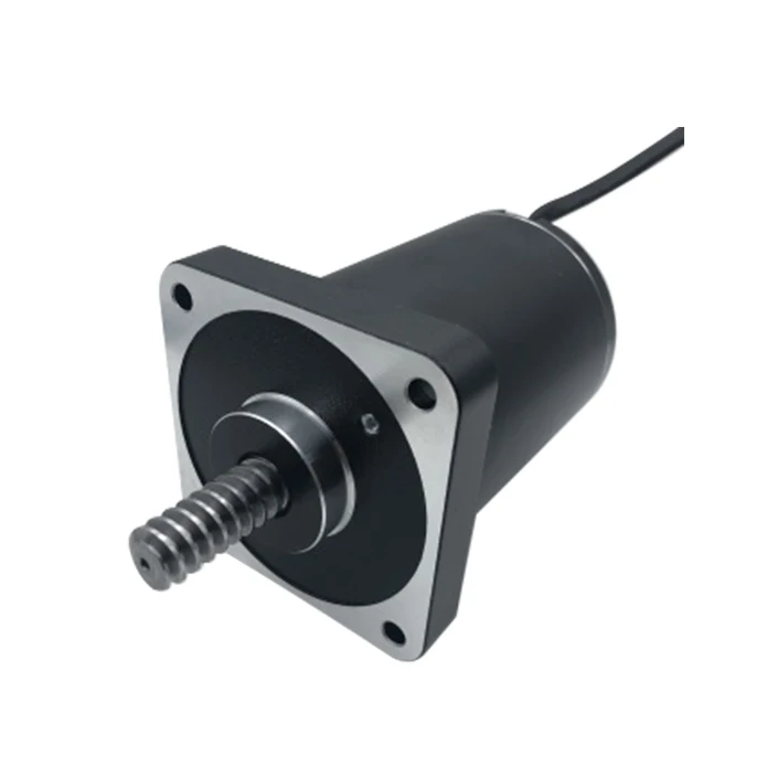 76mm High Speed High Power 24v Brushed Dc Motor for Adjusting Beds Customized Performance
