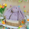 light purple bunny