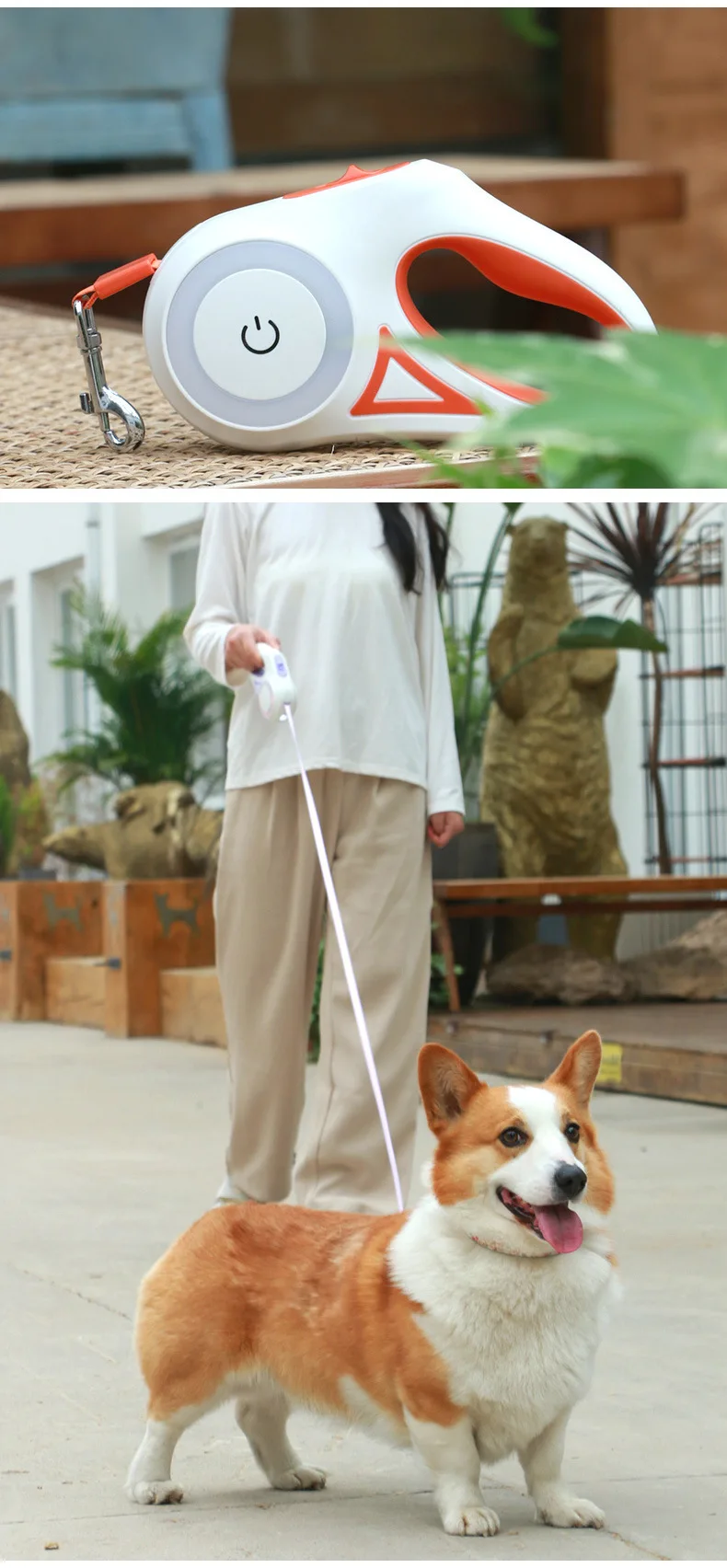 Multi-functional Dog Leash