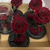 Wine Red (without Light and Gift Box)