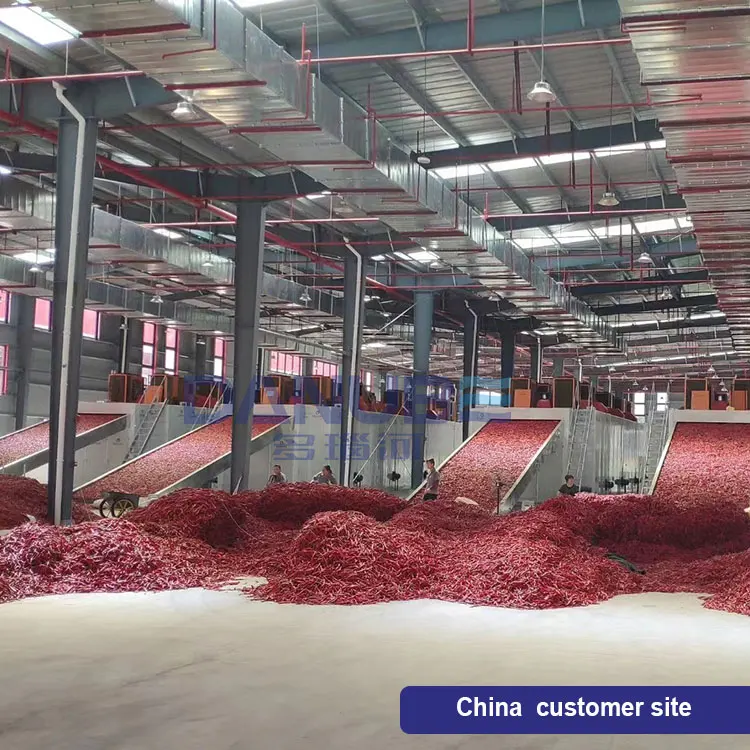 Chili Processing Line Red Pepper Mesh Belt Dryer Machine Chili Drying Machine