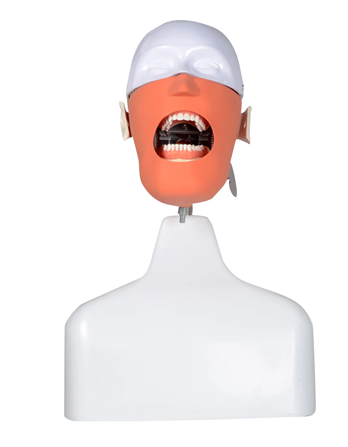 Новый продукт использованный студенческий симулятор стоматологический Фантом для продажи