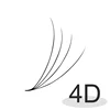 4D