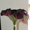 12 black purple