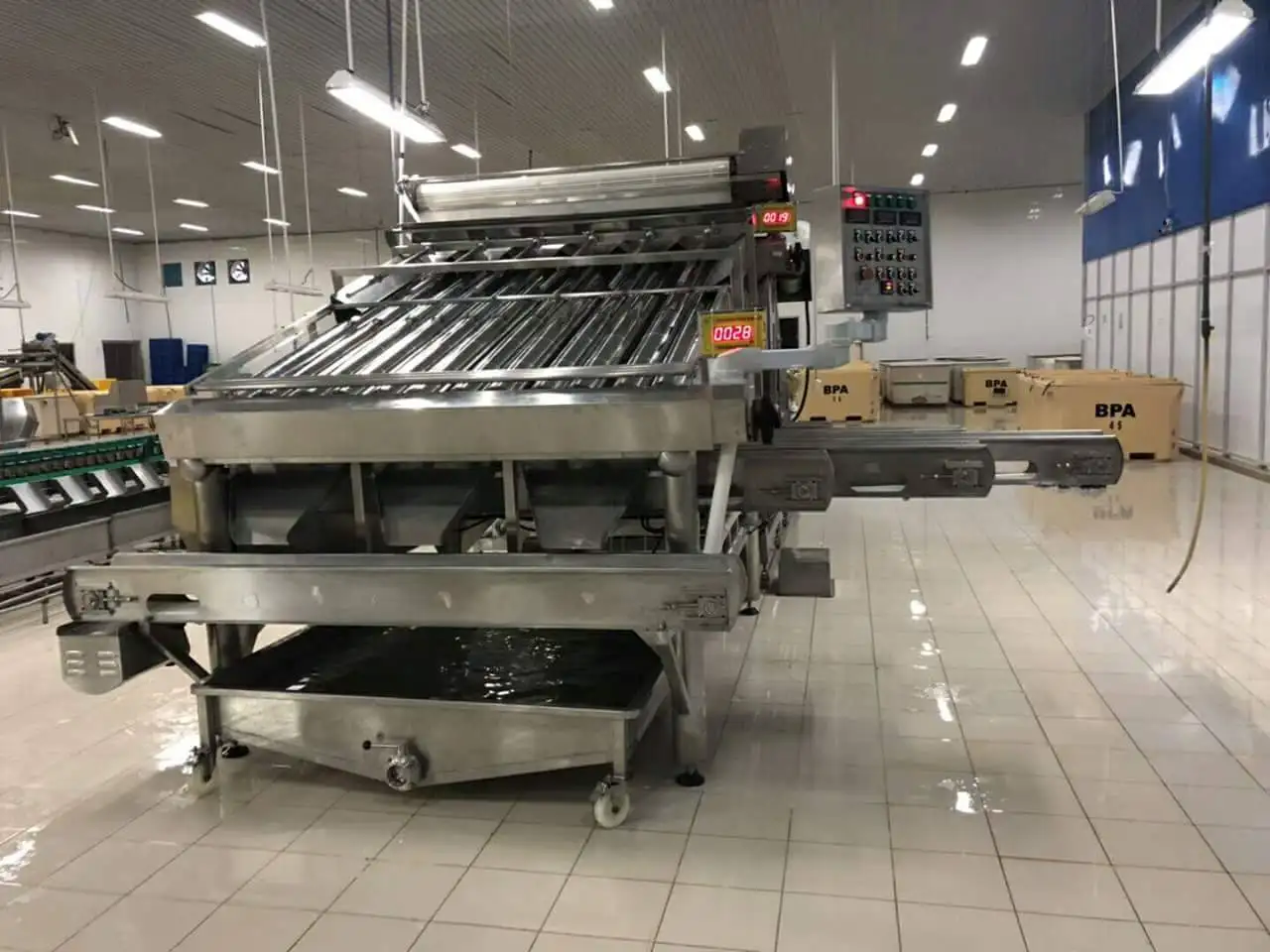 High Accuracy Automatic Fresh Fish Prawn 12 Roller/18 Roller Sorter Machine Shrimp Size Grading Machine