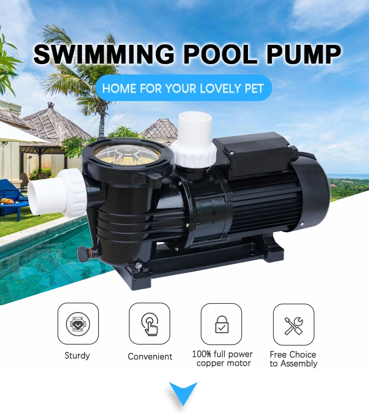ELS Model Pool Spa Circulation Pump Motor 220v 50hz 1hp