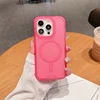 Rosa rosa