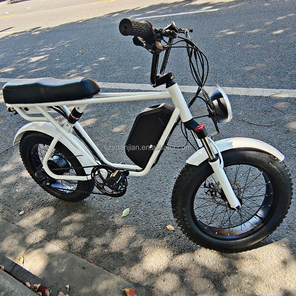 Lion Battery Pack Kids Girl Motor Motor 