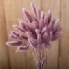 Couleur pourpre rosâtre