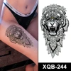 XQB-244