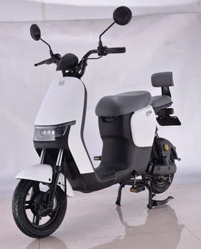 EEC Teenager Electric Scooter 48V/60V E-bike Cheap Price