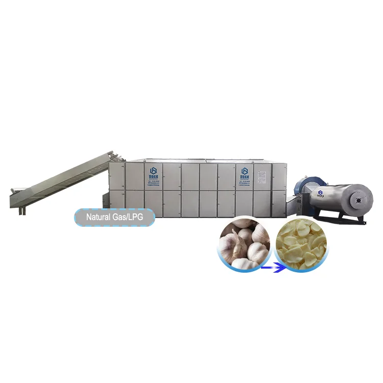Garlic and Ginger Onion Dryer Machine Carrot Drying Equipment
