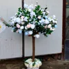 Blu e rosa 01