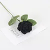 Small velvet black rod