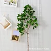 Ficus microcarpa - Short Branch Plane