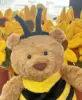 Orso ape