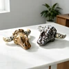 Picture Stone