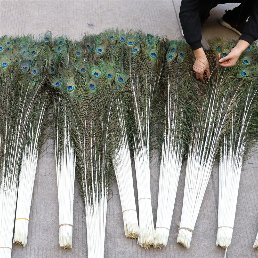  BUMEEK Peacock Feathers 50 Pcs/Lot Natural Real for