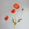 Arancione scuro