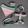 Rosa/Verde