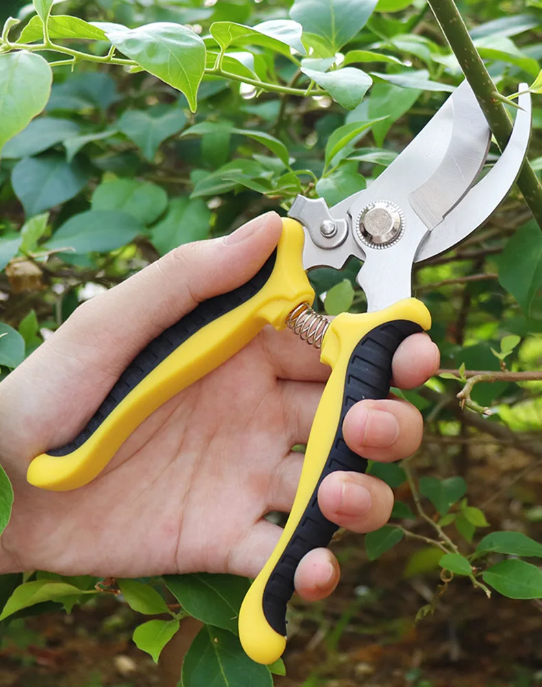 Bypass Pruning Shears Gardening Heavy Duty Stainless Steel Pruning Shears Precision Scissors for Bonsai Plants Vegetable Flower