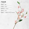 Pink-long stem-one stem