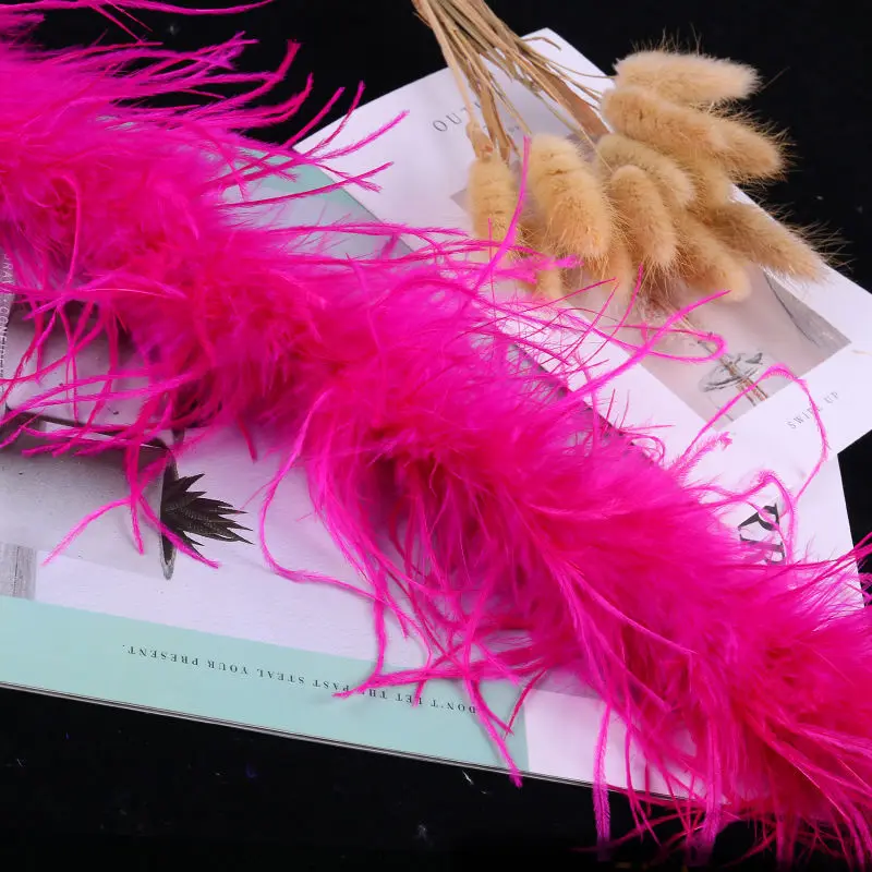 Factory Price Feather Ostrich Feather 1520cm/2m1 Piece Color Wedding