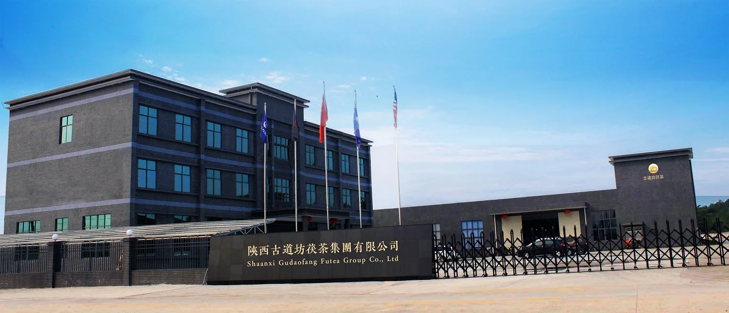 Shaanxi Gudaofang Futea Group Co., Ltd.