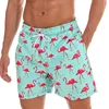 flamingo 3.png