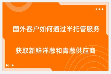 国外客户如何通过半托管服务获取新鲜洋葱和青葱供应商