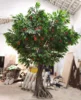 Árbol de Litchi artificial