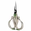 Silver green