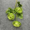 Ranunculus 8