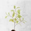 A green branch