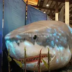 Customized Life-Size Robot Shark Model Kids' Animatronic Marine Animal Metal School Occasion Simulation Direct From Manufacturer
