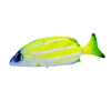 Green- striped fish