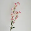 rose profond