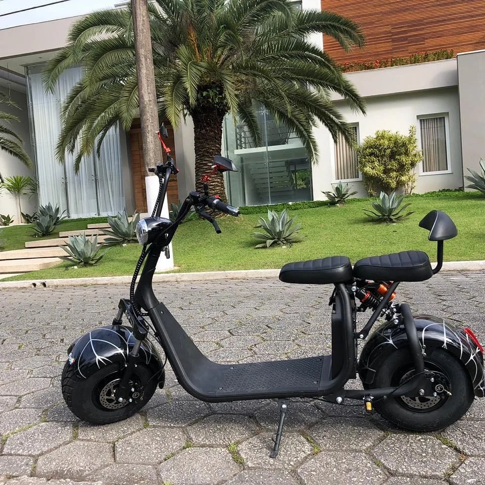 Direct Factory OEM Stock Electric Citycoco Scooter Motorcycle Elektro Roller Elektrische Chopper Moto Electrica Electric Scooter