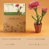 gift box-Carnation
