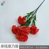 Single Carnation XC Orange